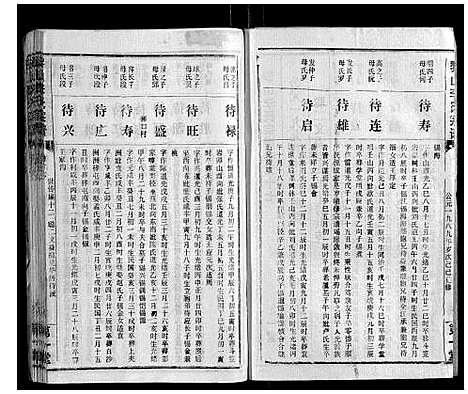 [李]黎山李氏宗谱 (湖北) 黎山李氏家谱_十五.pdf