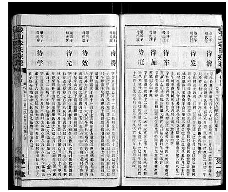 [李]黎山李氏宗谱 (湖北) 黎山李氏家谱_十五.pdf