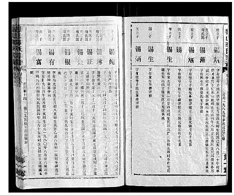 [李]黎山李氏宗谱 (湖北) 黎山李氏家谱_十七.pdf