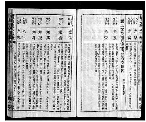 [李]黎山李氏宗谱 (湖北) 黎山李氏家谱_二十.pdf