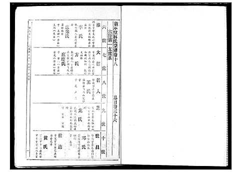 [林]林氏宗谱 (湖北) 林氏家谱_十一.pdf