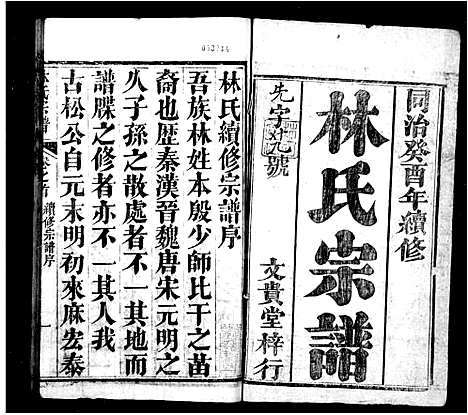 [林]林氏宗谱_10卷首1卷 (湖北) 林氏家谱.pdf