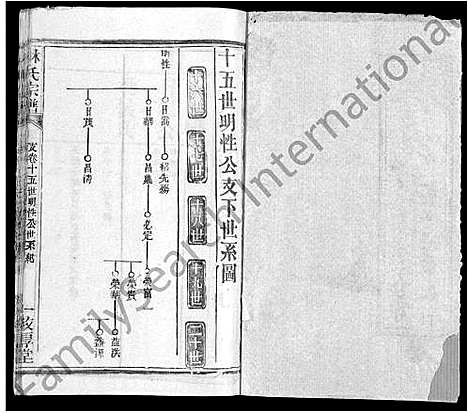 [林]林氏宗谱_14卷 (湖北) 林氏家谱_九.pdf