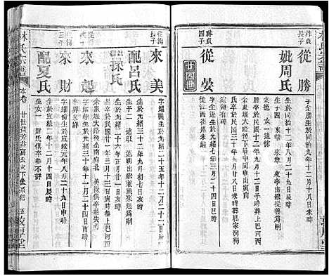 [林]林氏宗谱_14卷 (湖北) 林氏家谱_十二.pdf