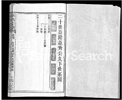 [林]林氏宗谱_14卷 (湖北) 林氏家谱_十三.pdf