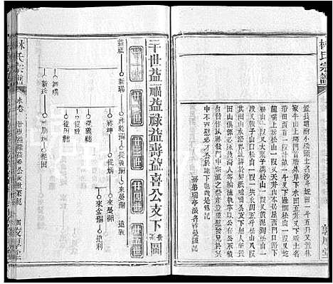 [林]林氏宗谱_14卷 (湖北) 林氏家谱_十三.pdf