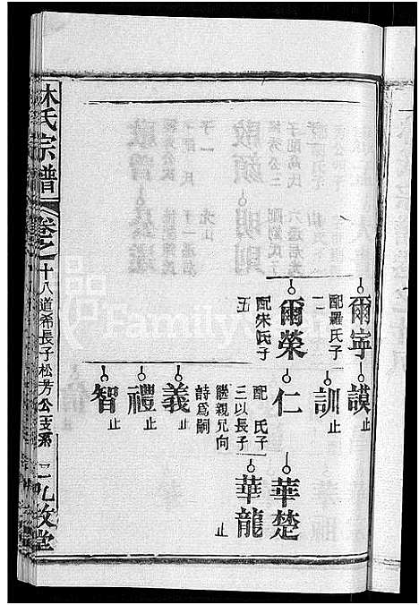 [林]林氏宗谱_23卷 (湖北) 林氏家谱_十一.pdf