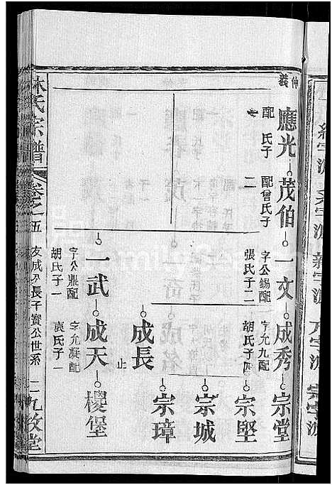 [林]林氏宗谱_23卷 (湖北) 林氏家谱_十九.pdf