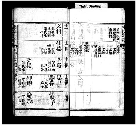 [林]西陵林氏宗谱_10卷首3卷-林氏宗谱 (湖北) 西陵林氏家谱_六.pdf