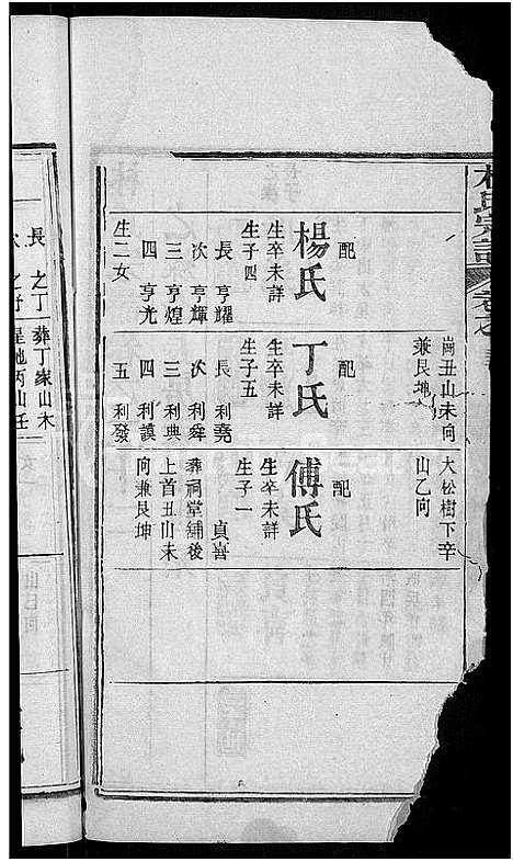 [林]林氏宗谱_27卷-西陵林氏续修宗谱 (湖北) 林氏家谱_十.pdf