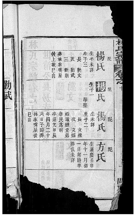 [林]林氏宗谱_27卷-西陵林氏续修宗谱 (湖北) 林氏家谱_二十二.pdf