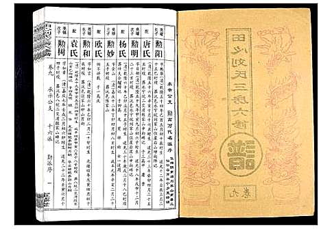 [刘]田心刘氏三房六房修谱 (湖北) 田心刘氏三房六房修谱_九.pdf