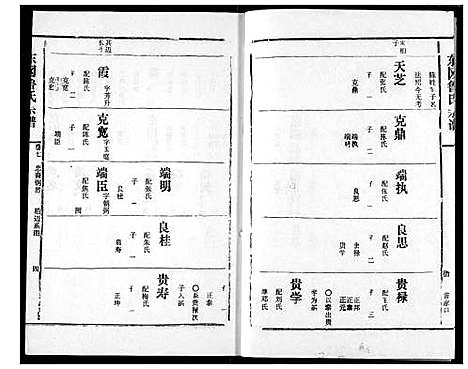 [鲁]东冈鲁氏族谱 (湖北) 东冈鲁氏家谱_八.pdf