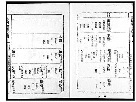 [鲁]东冈鲁氏族谱 (湖北) 东冈鲁氏家谱_十三.pdf