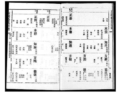 [鲁]东冈鲁氏族谱 (湖北) 东冈鲁氏家谱_十五.pdf