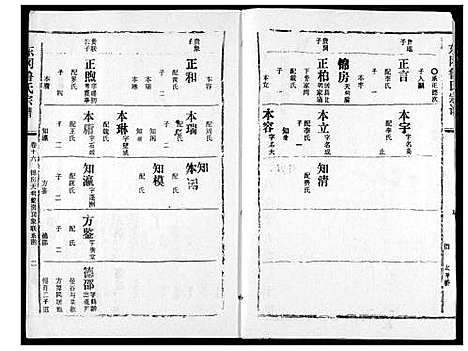 [鲁]东冈鲁氏族谱 (湖北) 东冈鲁氏家谱_十七.pdf