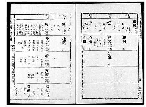 [鲁]东冈鲁氏族谱 (湖北) 东冈鲁氏家谱_十九.pdf