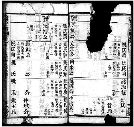 [鲁]鲁氏宗谱_Lu Shi_鲁氏宗谱 (湖北) 鲁氏家谱_十三.pdf