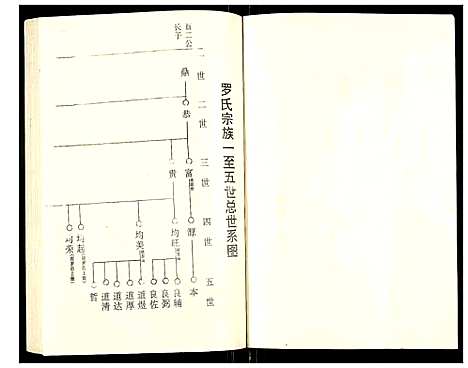 [罗]罗氏族谱 (湖北) 罗氏家谱_十.pdf