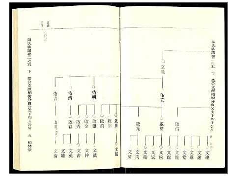 [罗]罗氏族谱 (湖北) 罗氏家谱_二十.pdf