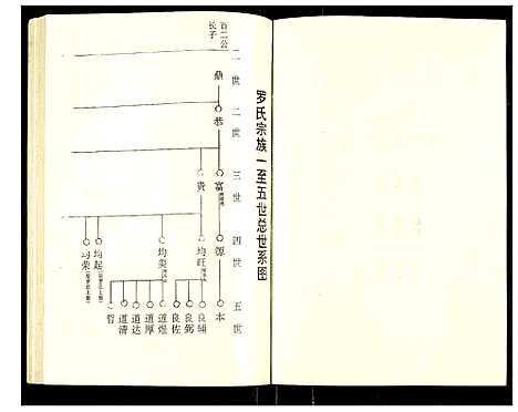 [罗]罗氏族谱 (湖北) 罗氏家谱_三十.pdf