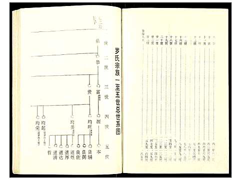 [罗]罗氏族谱 (湖北) 罗氏家谱_三十一.pdf