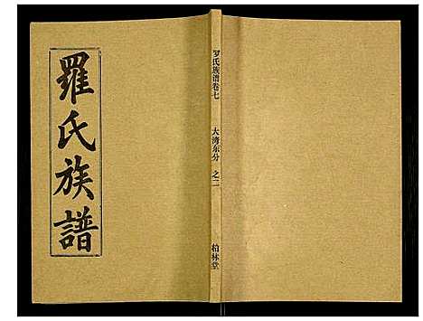 [罗]罗氏族谱 (湖北) 罗氏家谱_三十四.pdf