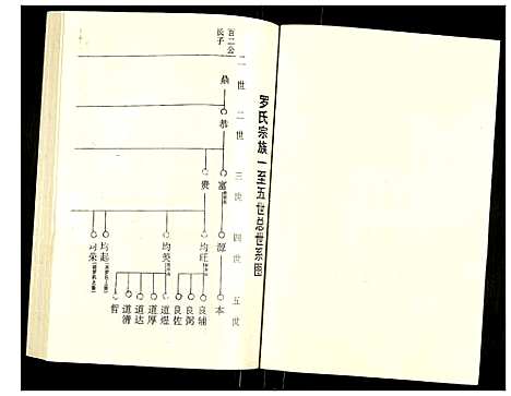 [罗]罗氏族谱 (湖北) 罗氏家谱_四十四.pdf