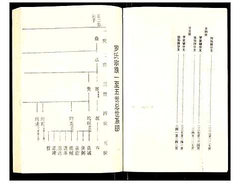 [罗]罗氏族谱 (湖北) 罗氏家谱_五十二.pdf