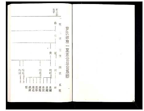 [罗]罗氏族谱_18卷首2卷附1卷 (湖北) 罗氏家谱_六.pdf