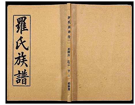 [罗]罗氏族谱_18卷首2卷附1卷 (湖北) 罗氏家谱_十三.pdf