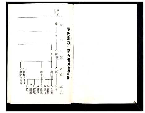 [罗]罗氏族谱_18卷首2卷附1卷 (湖北) 罗氏家谱_十九.pdf