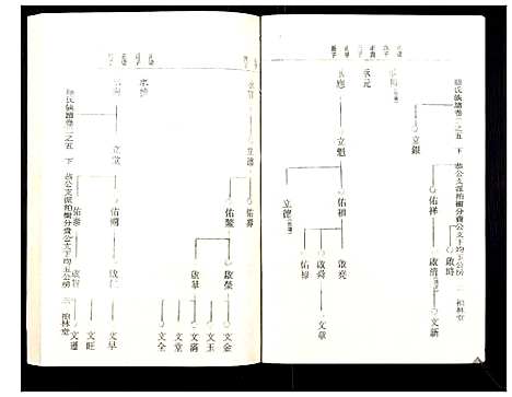 [罗]罗氏族谱_18卷首2卷附1卷 (湖北) 罗氏家谱_二十.pdf