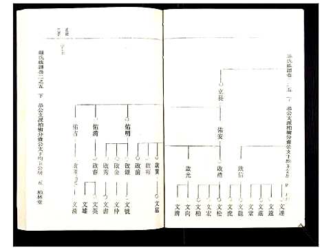 [罗]罗氏族谱_18卷首2卷附1卷 (湖北) 罗氏家谱_二十.pdf