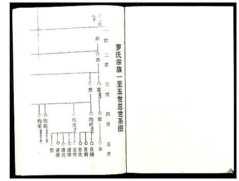 [罗]罗氏族谱_18卷首2卷附1卷 (湖北) 罗氏家谱_二十九.pdf