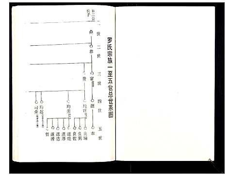 [罗]罗氏族谱_18卷首2卷附1卷 (湖北) 罗氏家谱_三十.pdf