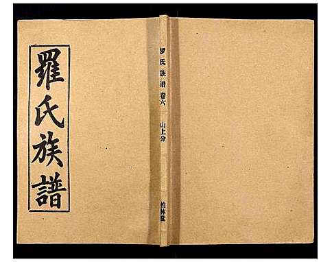 [罗]罗氏族谱_18卷首2卷附1卷 (湖北) 罗氏家谱_三十一.pdf