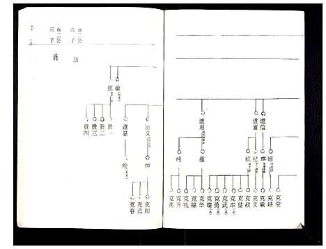 [罗]罗氏族谱_18卷首2卷附1卷 (湖北) 罗氏家谱_三十一.pdf