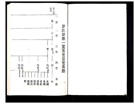 [罗]罗氏族谱_18卷首2卷附1卷 (湖北) 罗氏家谱_四十.pdf