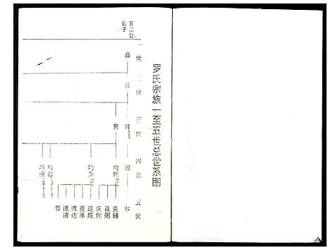 [罗]罗氏族谱_18卷首2卷附1卷 (湖北) 罗氏家谱_四十三.pdf