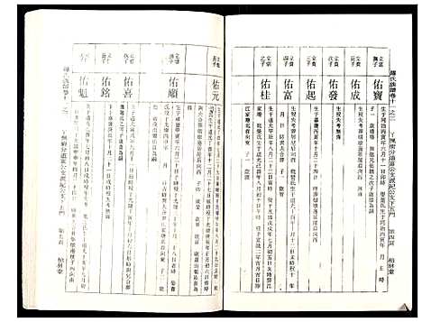 [罗]罗氏族谱_18卷首2卷附1卷 (湖北) 罗氏家谱_四十六.pdf