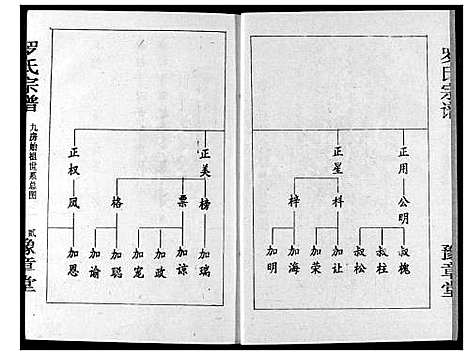 [罗]罗氏宗谱 (湖北) 罗氏家谱_五.pdf