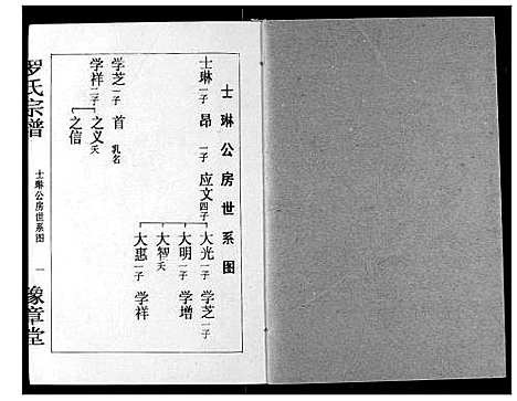 [罗]罗氏宗谱 (湖北) 罗氏家谱_九.pdf