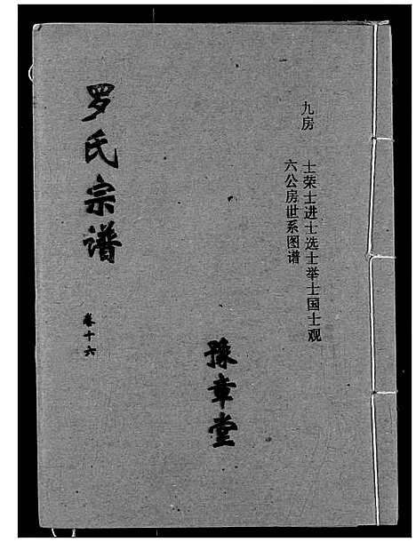 [罗]罗氏宗谱 (湖北) 罗氏家谱_十九.pdf