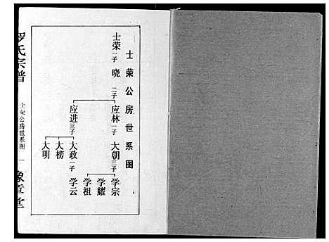 [罗]罗氏宗谱 (湖北) 罗氏家谱_十九.pdf