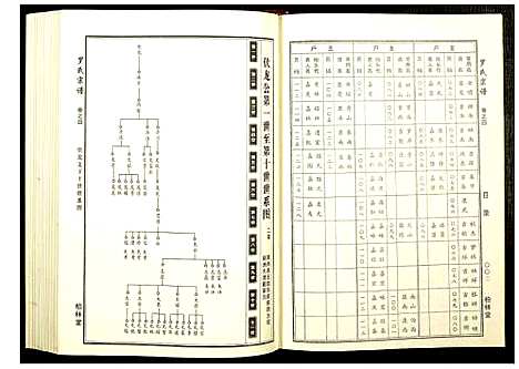 [罗]罗氏宗谱 (湖北) 罗氏家谱_二.pdf