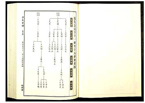 [罗]罗氏宗谱 (湖北) 罗氏家谱_二.pdf