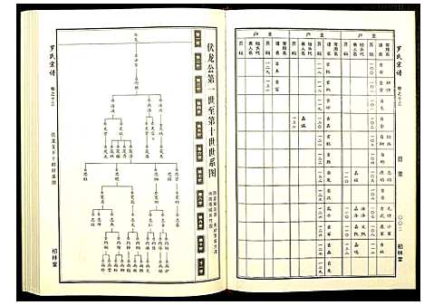 [罗]罗氏宗谱 (湖北) 罗氏家谱_六.pdf