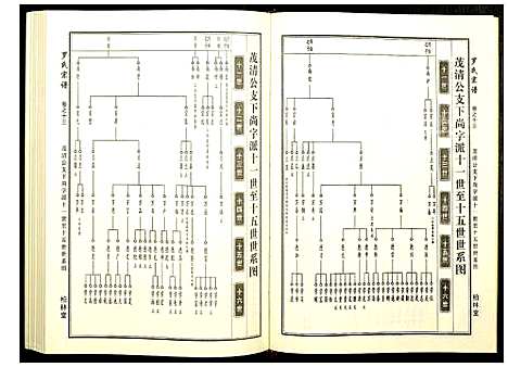 [罗]罗氏宗谱 (湖北) 罗氏家谱_六.pdf