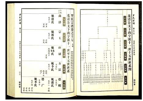 [罗]罗氏宗谱 (湖北) 罗氏家谱_七.pdf